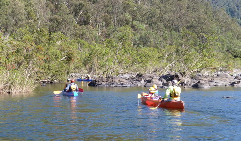 Nymboida National Park - Gold Coast Attractions 1