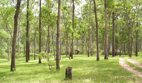 Nymboida National Park - Gold Coast Attractions 2