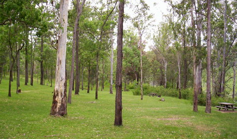 Nymboida National Park - Gold Coast Attractions 3