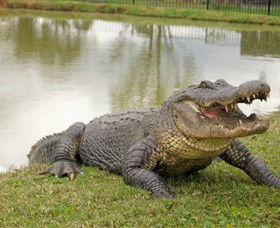 Hunter Valley Zoo - Gold Coast Attractions 1