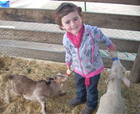 Hunter Valley Zoo - Gold Coast Attractions 4