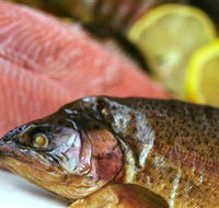 Lovedale Smokehouse Gourmet Pantry Cafe and Masterclasses - Gold Coast Attractions