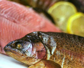 Lovedale Smokehouse Gourmet Pantry, Cafe And Masterclasses - Gold Coast Attractions 0