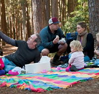 State Forests of the Watagan Mountains - Gold Coast Attractions