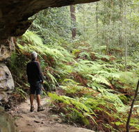 Dharug National Park - Gold Coast Attractions