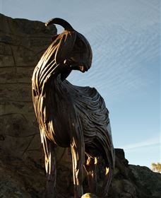 Nanny Goat Hill Lookout - Gold Coast Attractions 0