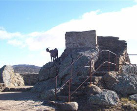 Nanny Goat Hill Lookout - Gold Coast Attractions 3