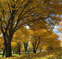 Centennial Park at Cooma - Gold Coast Attractions