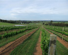 Razorback Ridge Wines - Gold Coast Attractions 1