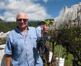 Razorback Ridge Wines - Gold Coast Attractions 8