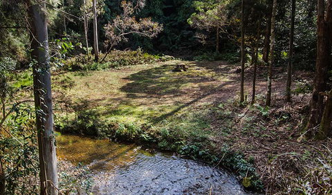 Myrtle Scrub Scenic Drive - Gold Coast Attractions 3