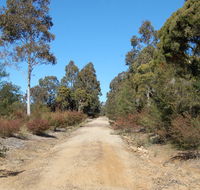 Werakata National Park - Gold Coast Attractions