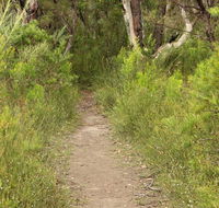 Three Views walking track - Gold Coast Attractions