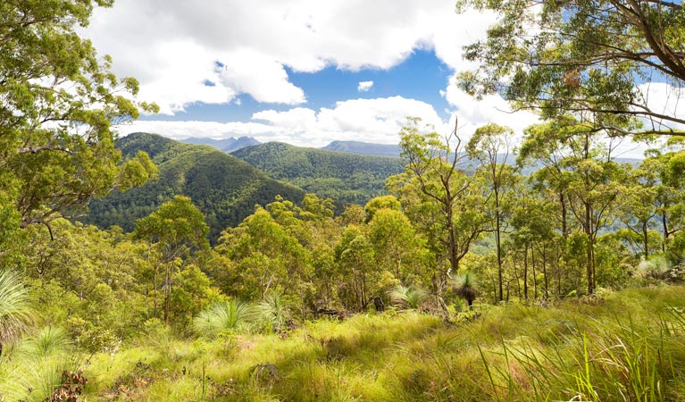 Sherwood NSW Gold Coast Attractions