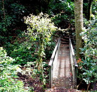 Richmond Range National Park - Gold Coast Attractions