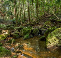 Palm Grove Nature Reserve - Gold Coast Attractions