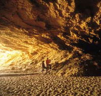 Stockyard Gully National Park - Gold Coast Attractions