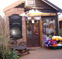 Australian Alpaca Barn - Morpeth - Gold Coast Attractions