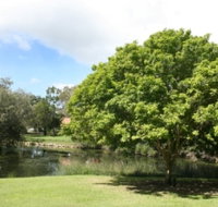 Hervey Bay Botanic Gardens - Gold Coast Attractions