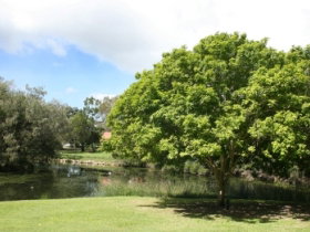 Hervey Bay Botanic Gardens - Gold Coast Attractions 0