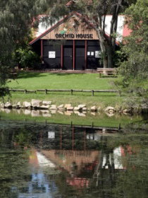 Hervey Bay Botanic Gardens - Gold Coast Attractions 1