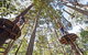 TreeTop Adventure Park Central Coast - thumb 0