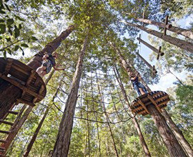 TreeTop Adventure Park Central Coast - Gold Coast Attractions 0
