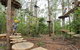 TreeTop Adventure Park Central Coast - thumb 1