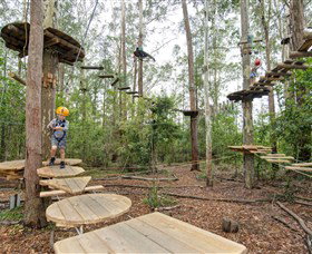 TreeTop Adventure Park Central Coast - Gold Coast Attractions 1