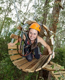 TreeTop Adventure Park Central Coast - Gold Coast Attractions 3