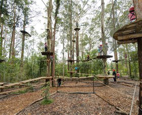 TreeTop Adventure Park Central Coast - Gold Coast Attractions 5