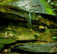Strickland State Forest - Gold Coast Attractions