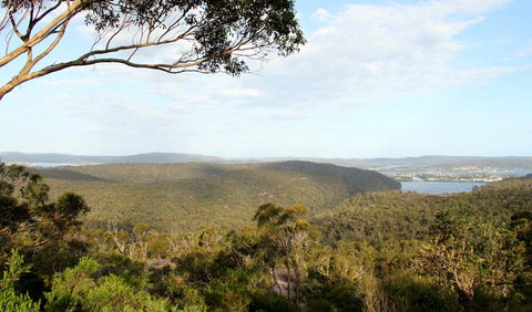 Staples Lookout - Gold Coast Attractions 1