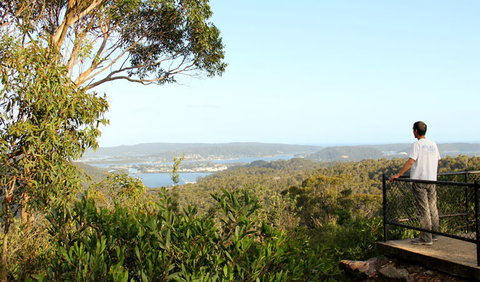 Staples Lookout - Gold Coast Attractions 2