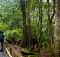 Monga National Park - Gold Coast Attractions