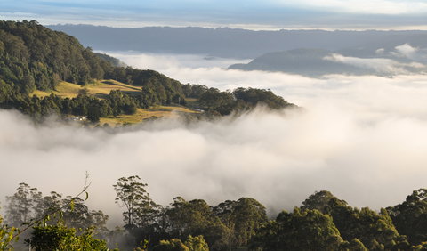 Cambewarra Range Nature Reserve - Gold Coast Attractions 0