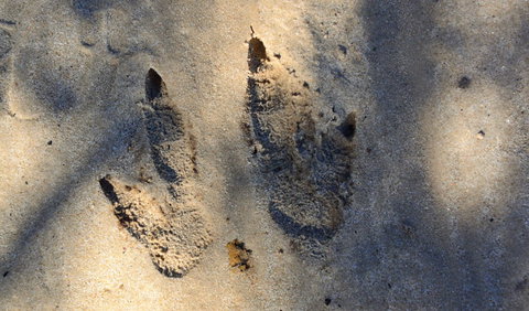 Cambewarra Range Nature Reserve - Gold Coast Attractions 3