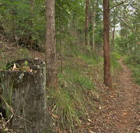 Border loop walk - Gold Coast Attractions
