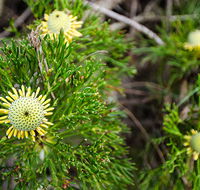Illawarra lookout walking track - Gold Coast Attractions