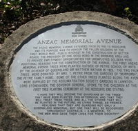 Anzac Memorial Avenue Redcliffe - Gold Coast Attractions