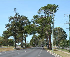Anzac Memorial Avenue, Redcliffe - Gold Coast Attractions 2