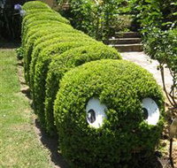 Nutcote - May Gibbs' Home - House Museum - Gold Coast Attractions