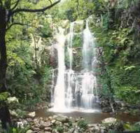 Budderoo National Park - The Falls Walk - Gold Coast Attractions