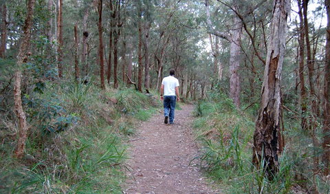 Lake Macquarie State Conservation Area - Gold Coast Attractions 3
