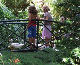 EG Waterhouse National Camellia Garden - Gold Coast Attractions 0