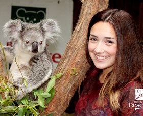 New Lambton Heights NSW Gold Coast Attractions