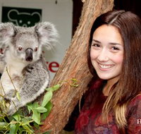 Blackbutt Reserve - Gold Coast Attractions