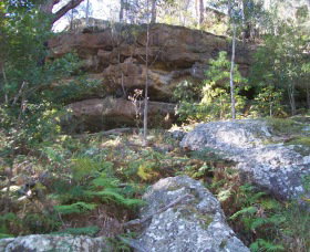 Bens Walk - Gold Coast Attractions 0