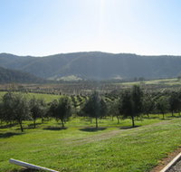 Hastings Valley Olives - Gold Coast Attractions