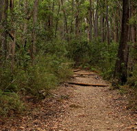 Pigeon House Mountain Didthul walking track - Gold Coast Attractions